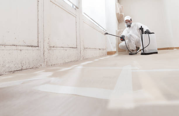 24/7 Emergency Black Mold Remediation experts in Woodward, PA